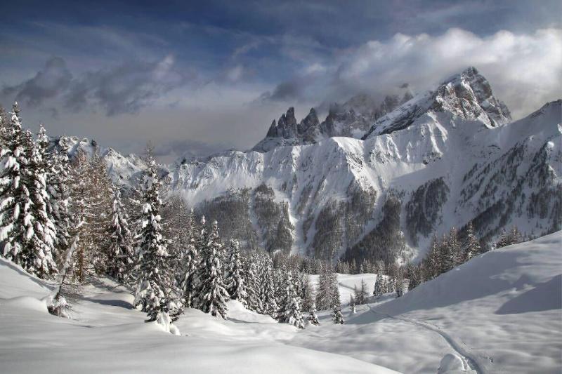 Hotel Stella Alpina Falcade Exterior photo